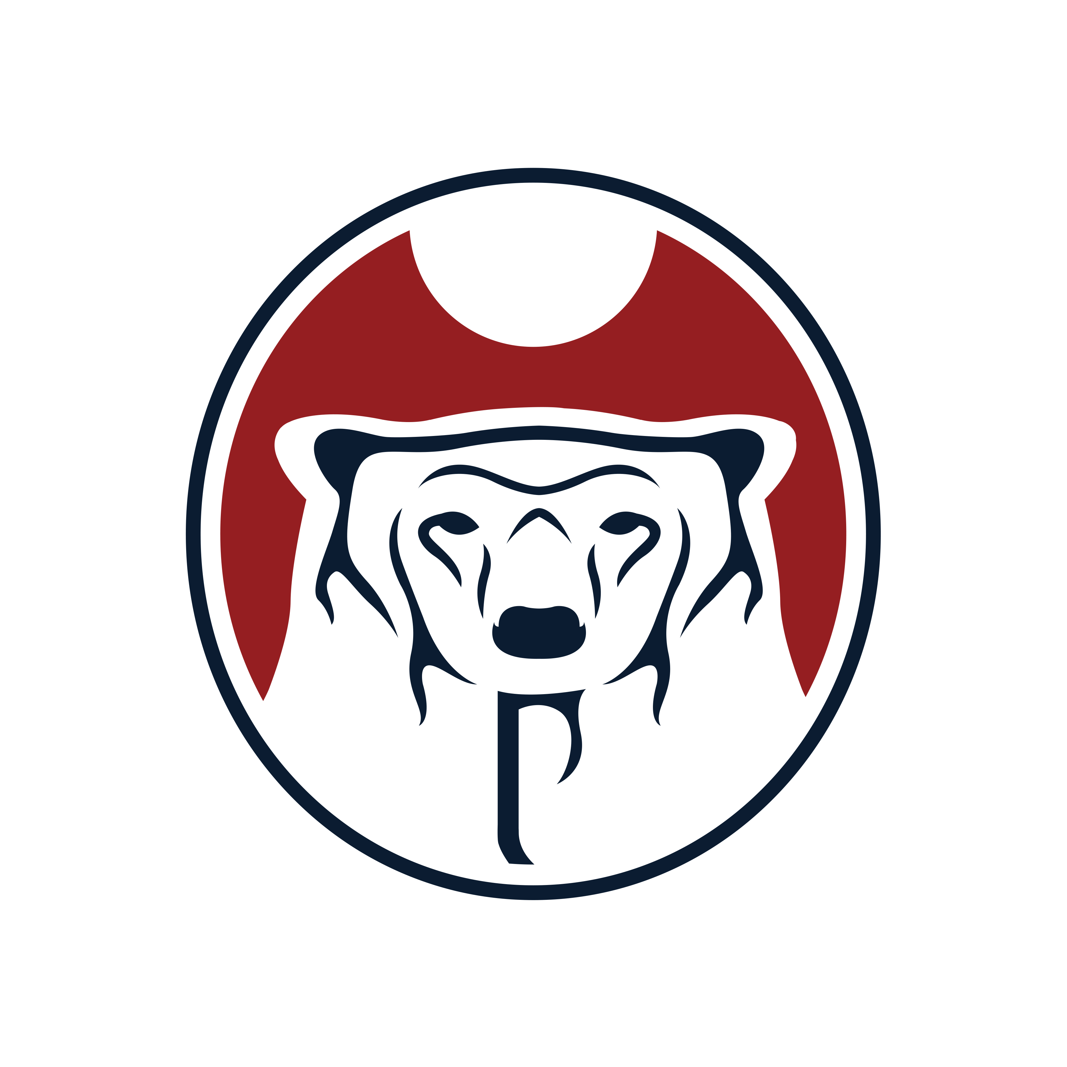Nishnawbe Aski Nation logo