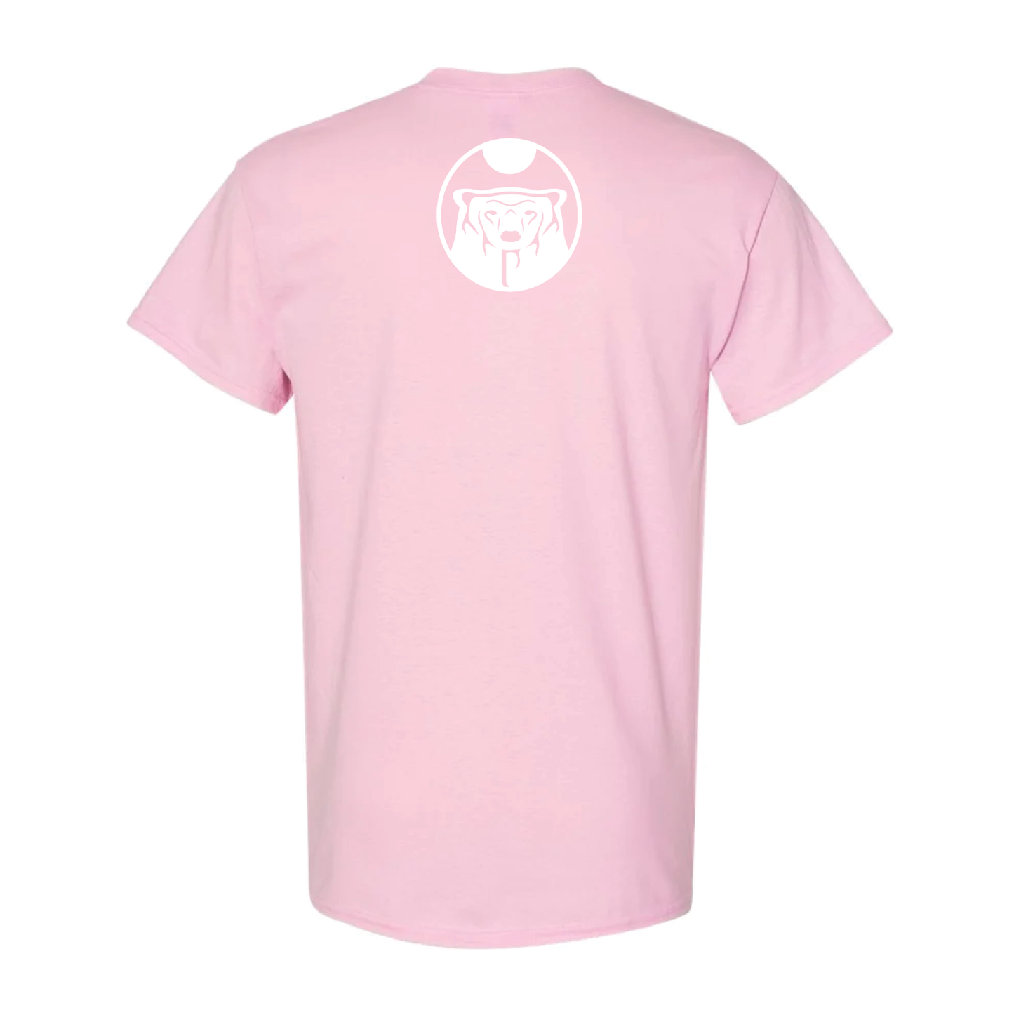 Adult/Youth Pink Shirt Day T-Shirts
